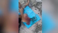 Matadores do CV cortam cabeça e membros de rival: “Mexeu com a tropa”