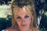 Britney Spears desabafa sobre afastamento dos filhos e trauma familiar
