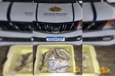 Motorista é autuado na BR-080 por pescar ilegalmente 29 peixes nativos