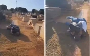 GO: advogado e jardineiro trocam socos em cemitério. Vídeo