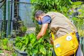 Distrito Federal reforça as ações de prevenção e combate à dengue 