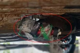 Policial penal coloca bomba em carro de ex-namorada para explodi-la