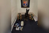 Ele fez de novo! Cão da PM localiza drogas em operação na zona oeste