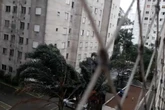 Rajadas de vento em SP chegam a 80 km/h durante a tarde. Saiba onde