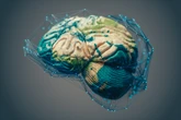 Mapa cerebral do corpo permanece igual após mesmo após amputação