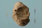 Selo de 2,6 mil anos com nome bíblico é encontrado em Jerusalém
