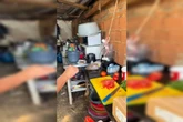 Vídeo mostra fábrica de salgados infestada de baratas e moscas