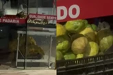Mulher flagra ratos em mercado e local é interditado no interior. Veja