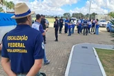 Operação apreende mais de 2 toneladas de café irregular no RJ
