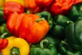 Confira 10 alimentos saudáveis que ajudam a fortalecer a imunidade
