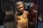Humanos e neandertais cruzaram há 47 mil anos, diz pesquisa