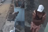 Vídeo mostra homem pelado invadindo casas e furtando vestido em varal
