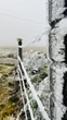 Cidade de SC bate recorde do ano e registra sensação térmica de -29°C