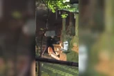 “Por favor, tô levantando”: GCM agride homem em situação de rua em SP