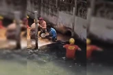 Sucuri gigante é encontrada em hotel de Caldas Novas. Veja vídeo