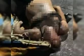 “Não tenho medo da morte”, disse “Diaba Loira” dias antes de execução