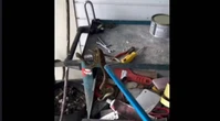 Vídeo: mecânico se assusta ao encontrar jararaca em gaveta de oficina