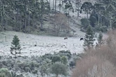 SC: 3º dia de onda de frio marca temperaturas de até -2ºC nesta quarta