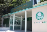 Palmeiras afasta conselheiro após denúncia de assédio contra menores