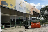Após suspeita de gripe aviária, Seagri faz inspeção ao redor do Zoo
