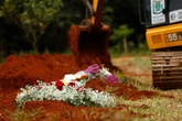 CLDF abre licitação de R$ 326 mil para flores e coroas fúnebres