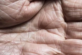 Quatro hábitos de vida que podem ajudá-lo a viver até os 100 anos