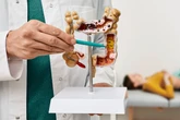 Grão popular ajuda a regular o intestino e apoia a saúde dos rins