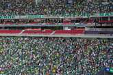 Palmeiras pede à CBF para ter torcida em jogo contra Cruzeiro