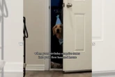 Vídeo: cachorro reage a presente de aniversário e surpreende tutor