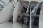 Casal é indiciado por abandono de filhotes de cachorros no DF; vídeo