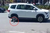Vídeo: sagui quase é atropelado ao tentar atravessar a Faria Lima