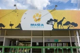 Gripe aviária no DF: 8 funcionários do Zoo não apresentaram sintomas