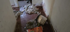 “Abrigo da morte” cobra R$ 600 por mês e deixa cães morrerem de fome