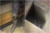 Vídeo. Após sumiço, adolescente é resgatada de calabouço secreto no CE