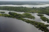 UnB liderará missão com satélite para escanear Amazônia e Cerrado