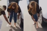 Repórter do SBT é atacada por formigas ao vivo e vídeo viraliza