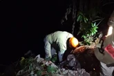 Homem é assassinado com foice e corpo é jogado em córrego; veja vídeo