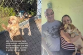 Visita de influencer muda destino de vira-lata ignorado em abrigo