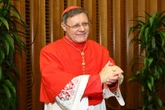 Arcebispo de Brasília viaja à Ucrânia em missão religiosa de paz