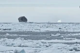 Conto de pescador? Homem registra foto rara de iceberg preto no Canadá