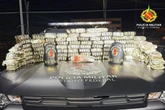 PMDF apreende 490 placas de “haxixe dry” avaliadas em R$ 1 milhão