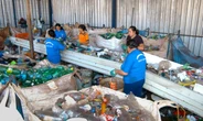 Projeto faz economia de várias cidades girar com métodos sustentáveis