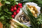 “Campeão” dos vegetais: a verdura que o CDC elegeu como a número 1