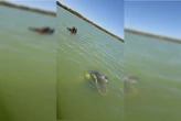Canoa com nove pessoas afunda e homem morre afogado no Entorno do DF