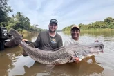 Dupla pesca pintado de 50 kg: “Todo mundo se emocionou”. Vídeo