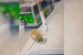 Mulher morre atropelada após condutor dar a ré em ônibus. Cenas fortes