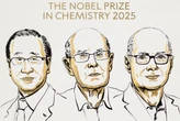 Nobel de Química premia invenção de molécula flexível em que cabe tudo