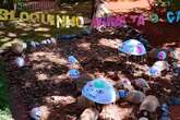 Jabutis do zoo entram em clima de Carnaval com “Bloco Arrasta o Casco”