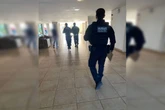 Operação Pasto Vazio: polícia investiga sumiço de 166 cabeças de gado