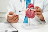 Conheça fruta que é grande aliada na prevenção de doenças do coração